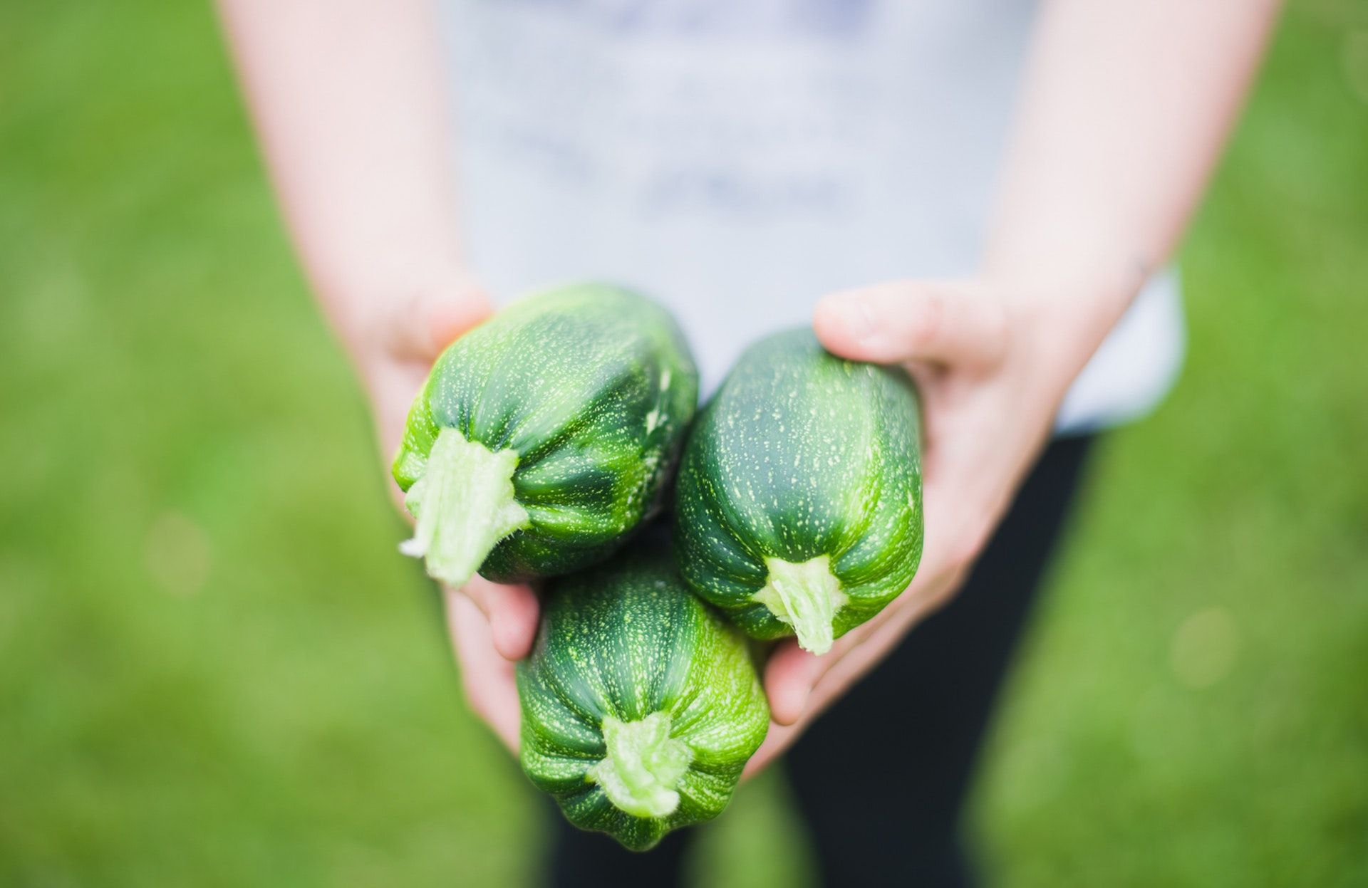 La philosophie et le potager de Pierres de Roche Paysanne